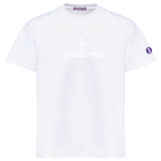 Merthyr Vale T-shirt in Snow White