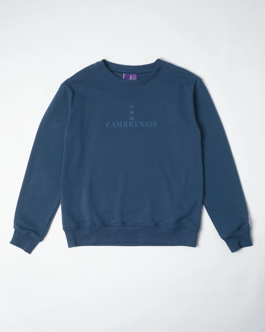 Treharris Jumper in Oceana