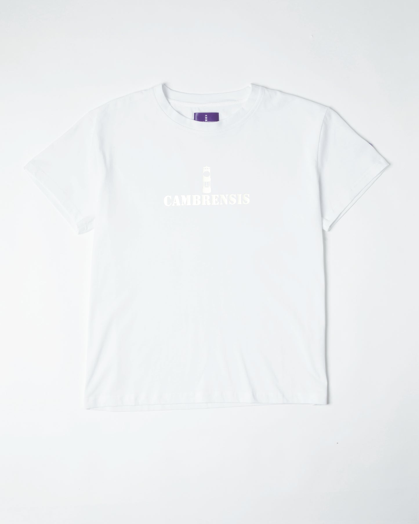 Merthyr Vale T-shirt in Snow White